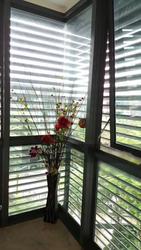 duchess-residences photo thumbnail #6